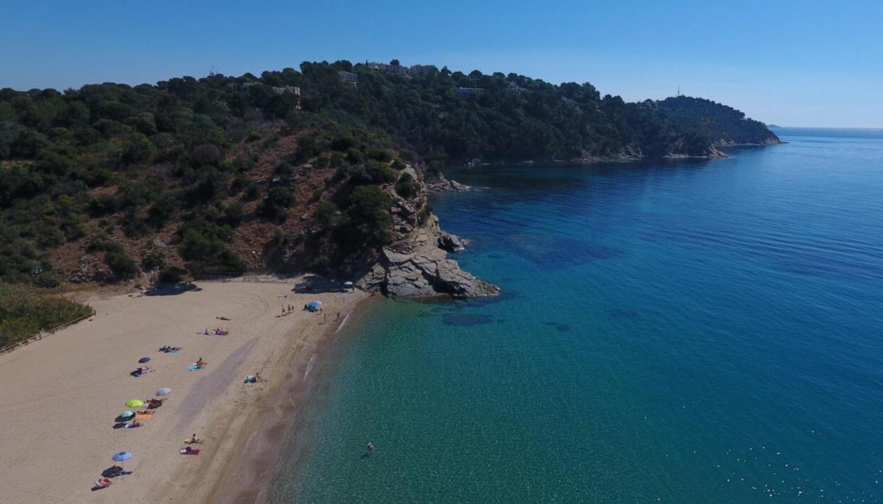T2 Calme Proche Plage Bonporteau Avec Clim Et Parking Cavalaire-sur-Mer Εξωτερικό φωτογραφία